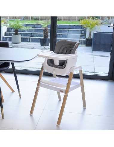 Tutti Bambini Nova Evolutionary... Tutti Bambini Nova Evolutionary...