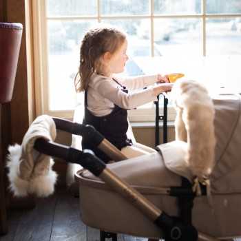 Egg Dolls Pram Fur... 2