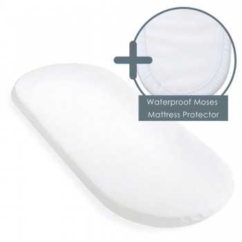 Clair de Lune Palm Moses... 2