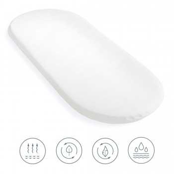 Clair de Lune Palm Moses...