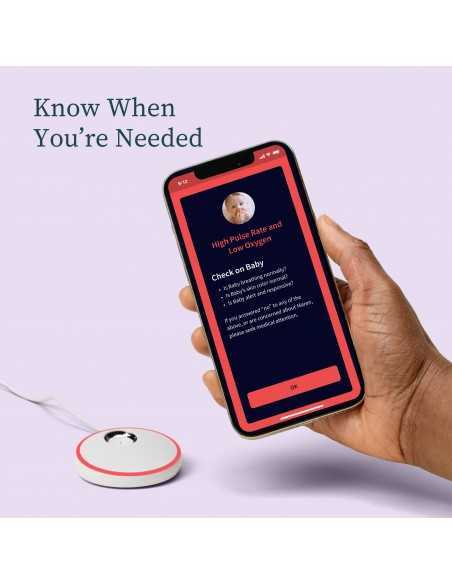 Owlet Medically Certified Dream Sock Baby Monitor-Mint Owlet