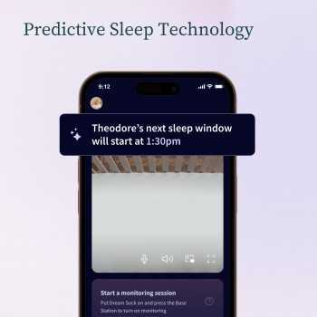 copy of Owlet Dream... 2