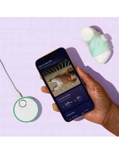 copy of Owlet Dream Duo-Dusty Rose copy of Owlet Dream Duo-Dusty Rose