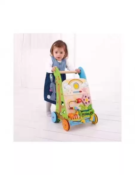 Bigjigs Toys Flower Activity Walker Bigjigs Toys