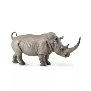 CollectA White Rhinoceros