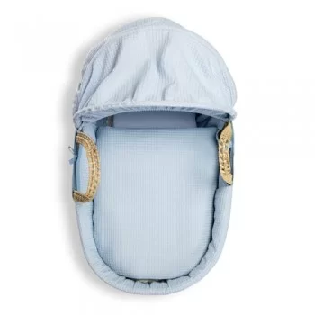 Clair de Lune Waffle Palm... 2