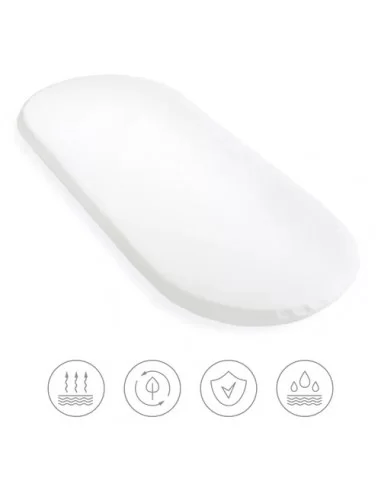 Clair de Lune Hypo-allergenic Palm... Clair de Lune Hypo-allergenic Palm...