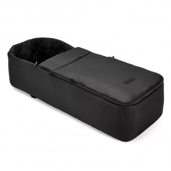 copy of Ickle Bubba Venus...