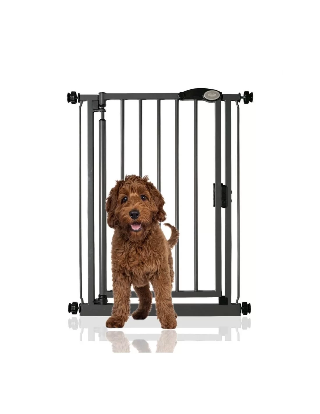 Bettacare hotsell pet gate